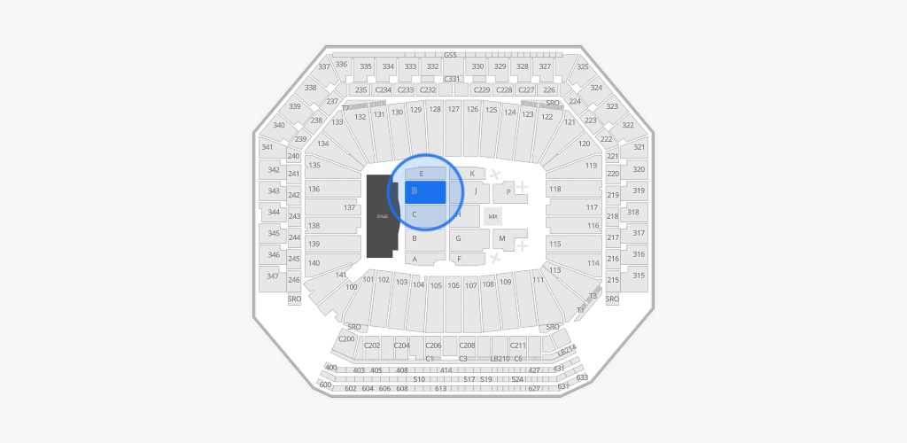 Ford Field Seating Chart