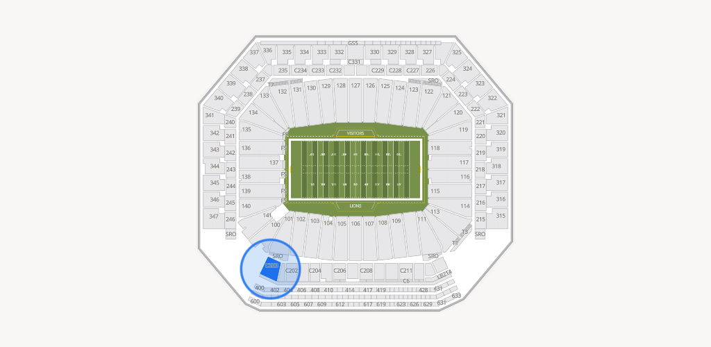 Ford Field Seating Chart