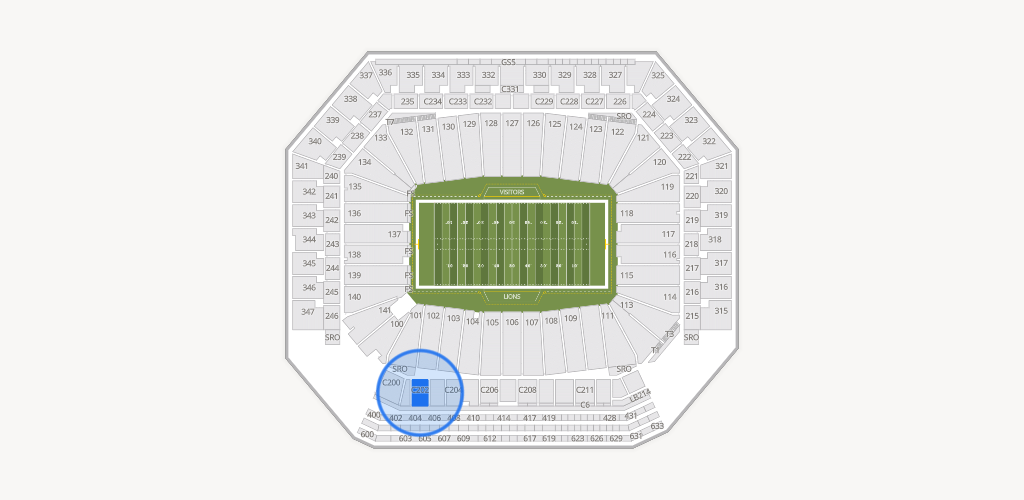 Ford Field Seating Chart