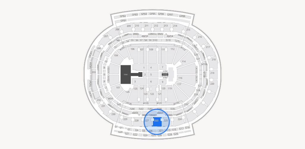 Little Caesars Arena Seating Chart