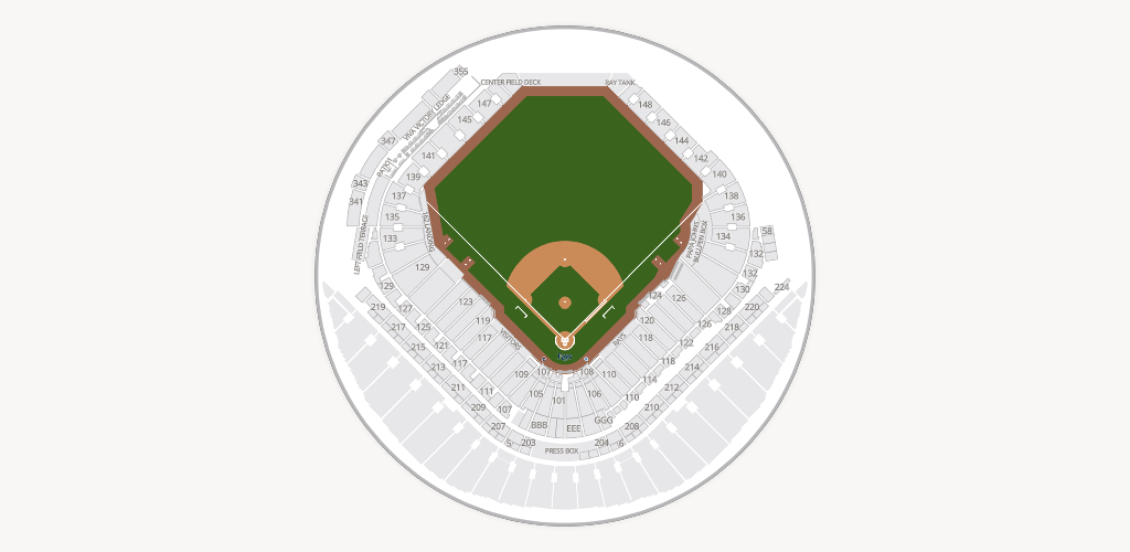 Tropicana Field Seating Chart