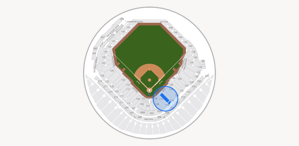 Tropicana Field Seating Chart