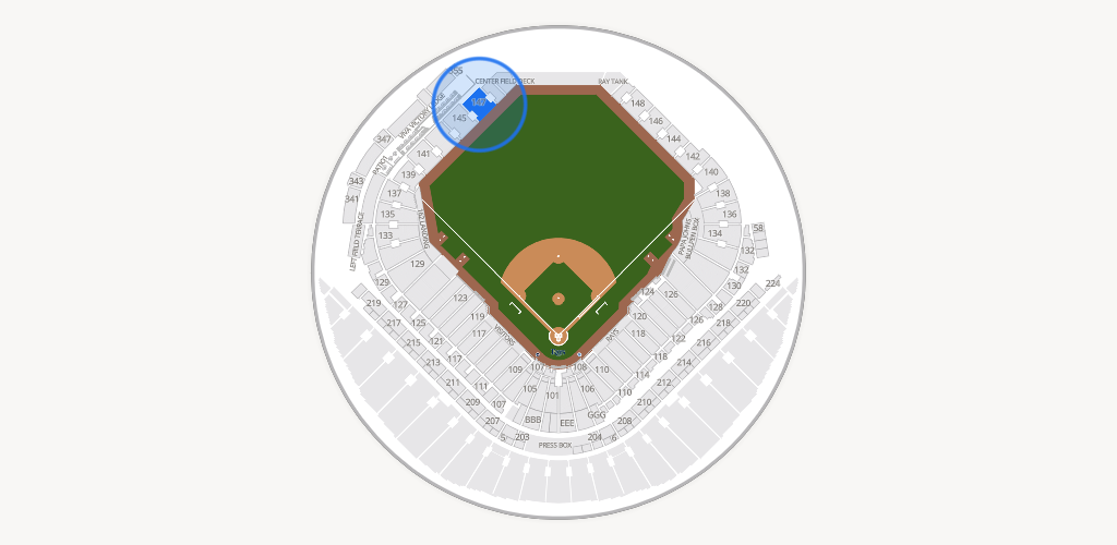 Tropicana Field Seating Chart