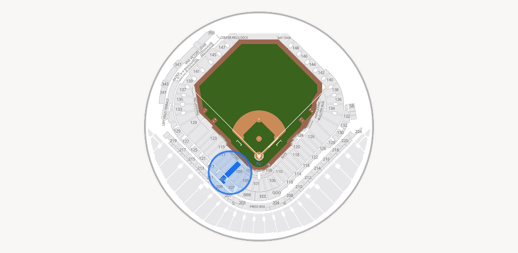 Tropicana Field Seating Chart