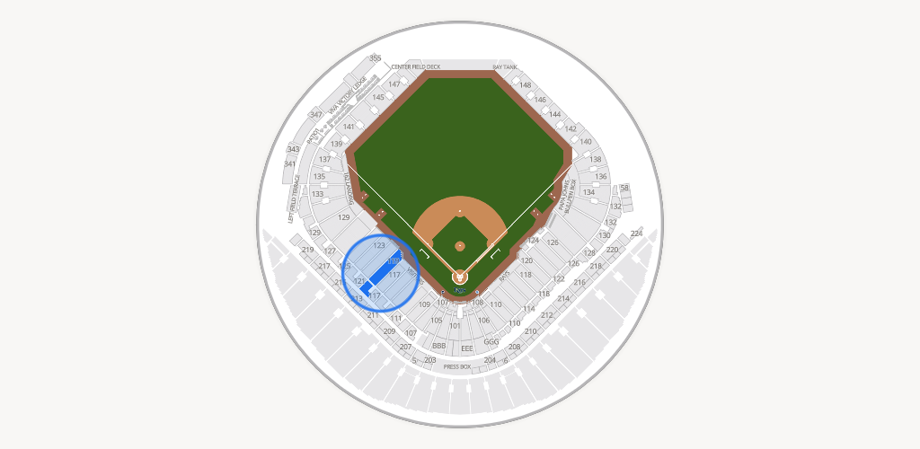 Tropicana Field Seating Chart