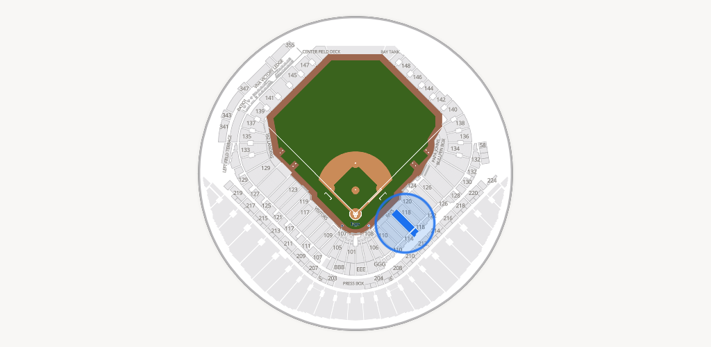 Tropicana Field Seating Chart