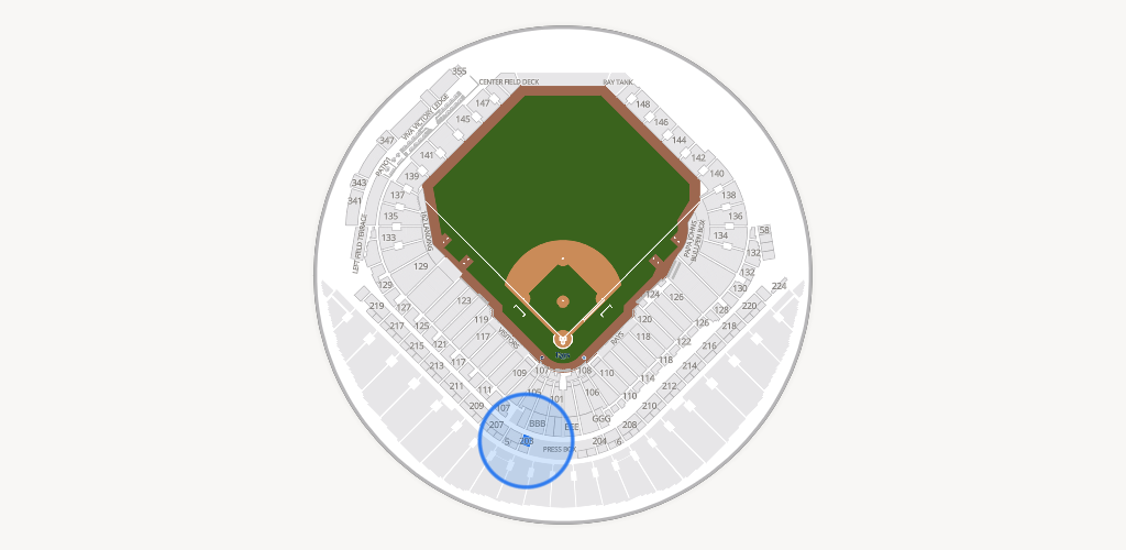 Tropicana Field Seating Chart