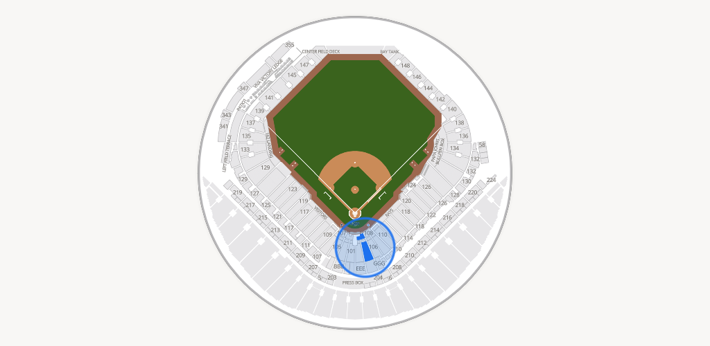 Tropicana Field Seating Chart