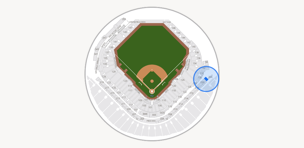 Tropicana Field Seating Chart