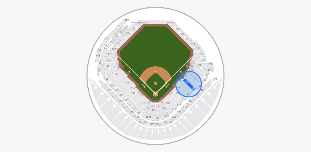 Tropicana Field Seating Chart