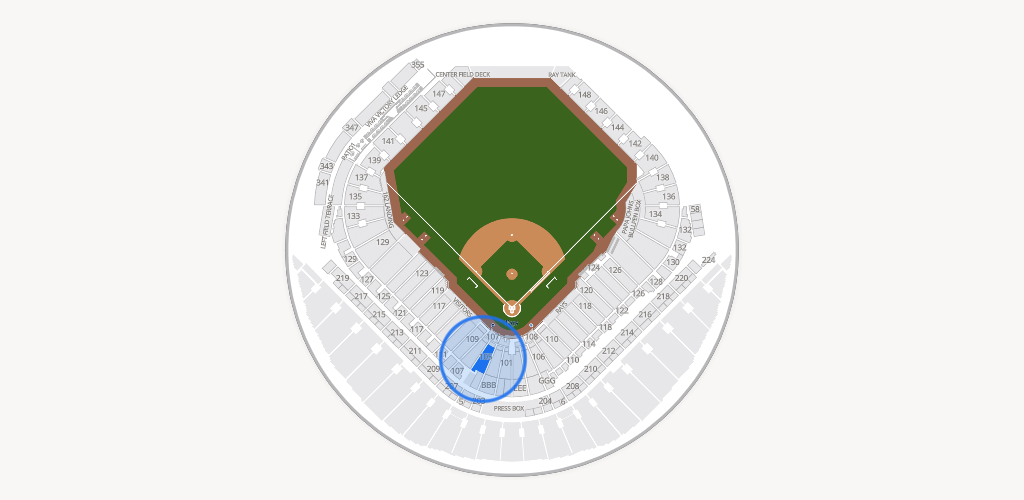 Tropicana Field Seating Chart