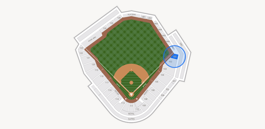 Truist Field Seating Chart