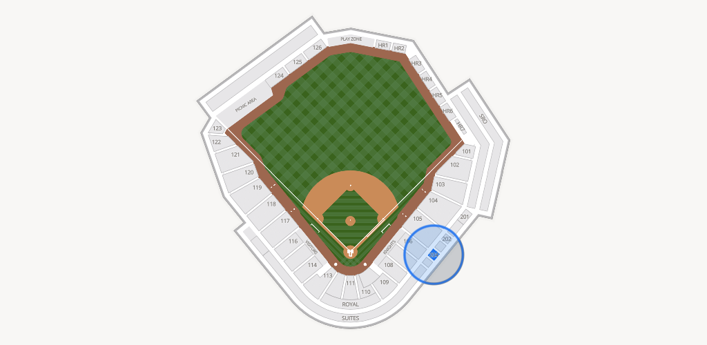 Truist Field Seating Chart
